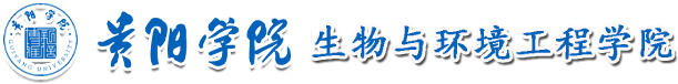 pg官网
